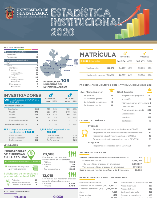 Imagen de la infografía del anexo estadístico 2020