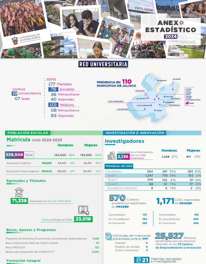 Imagen de la infografía del anexo estadístico 2024