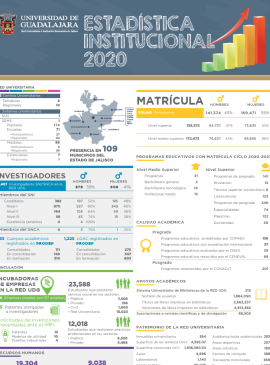 Imagen de la infografía del anexo estadístico 2020