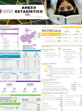 Imagen de la infografía del anexo estadístico 2021