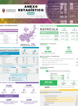 Imagen de la infografía del anexo estadístico 2022