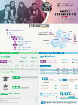 Imagen de la infografía del anexo estadístico 2023