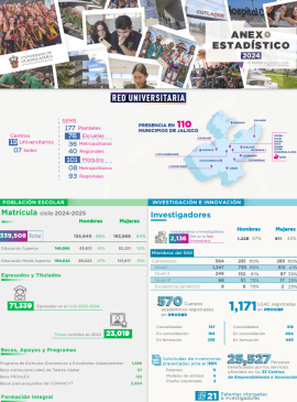 Imagen de la infografía del anexo estadístico 2024