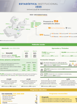 Imagen de la infografía del anexo estadístico 2025